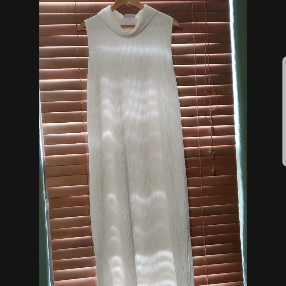 Ivory Ridged Dress - Picture 3 of 3